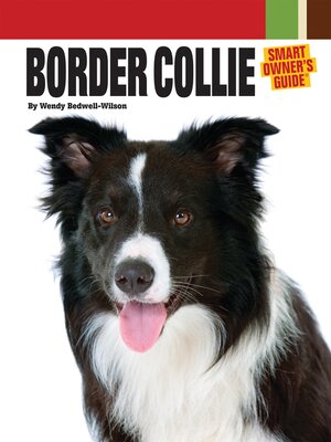 cover image of Border Collie